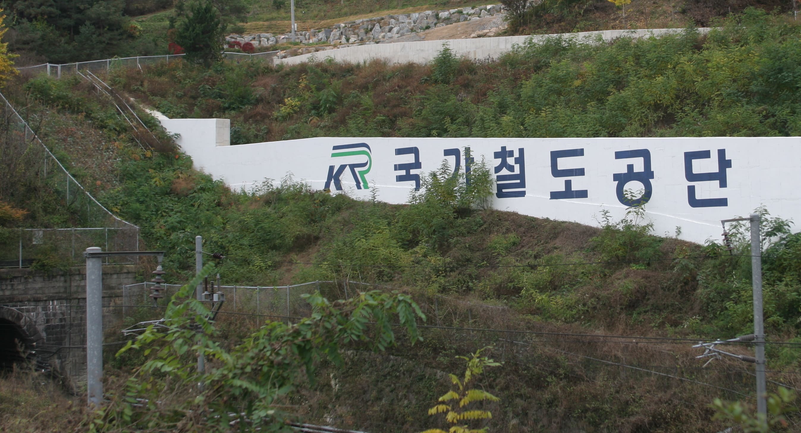 프로젝트 이미지 5